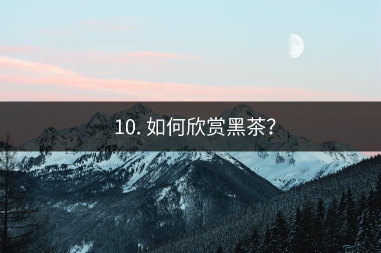 ? 10. 如何欣賞黑茶？
