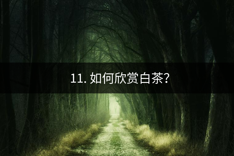 ??11. 如何欣賞白茶？