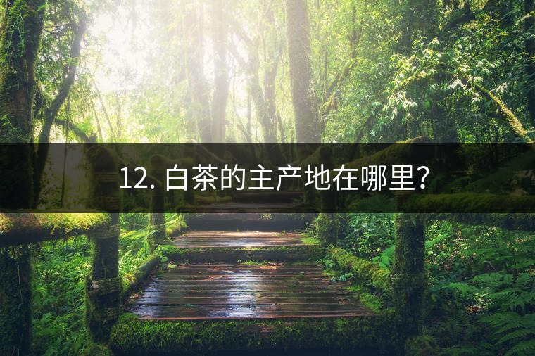 ? 12. 白茶的主產(chǎn)地在哪里？