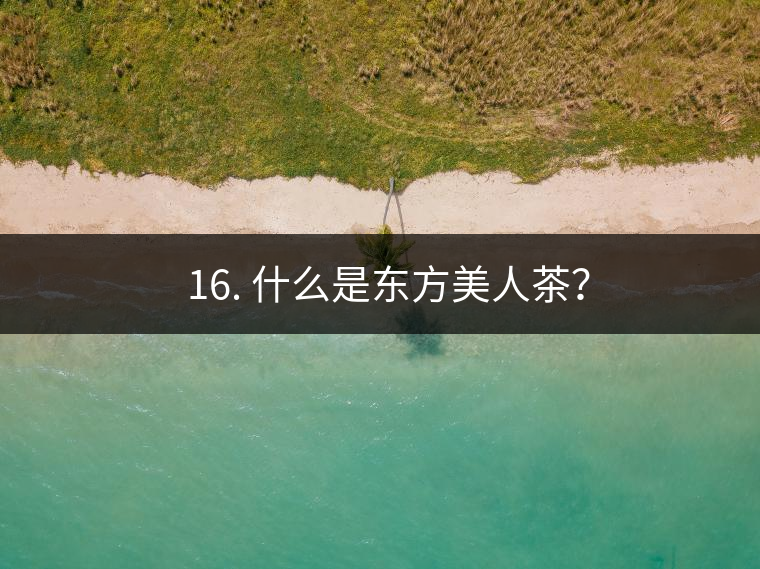 ? 16. 什么是東方美人茶？