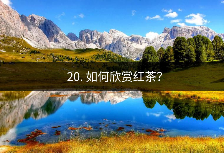 ? 20. 如何欣賞紅茶？