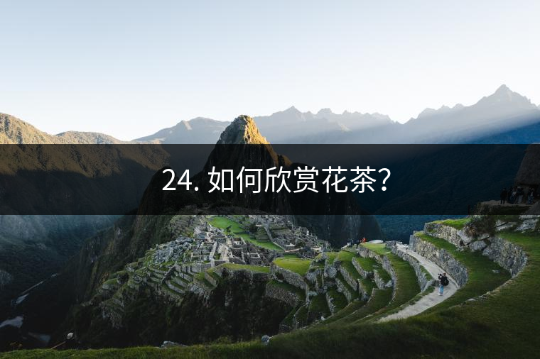 ? 24. 如何欣賞花茶？