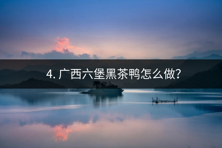 ? 4. 廣西六堡黑茶鴨怎么做？