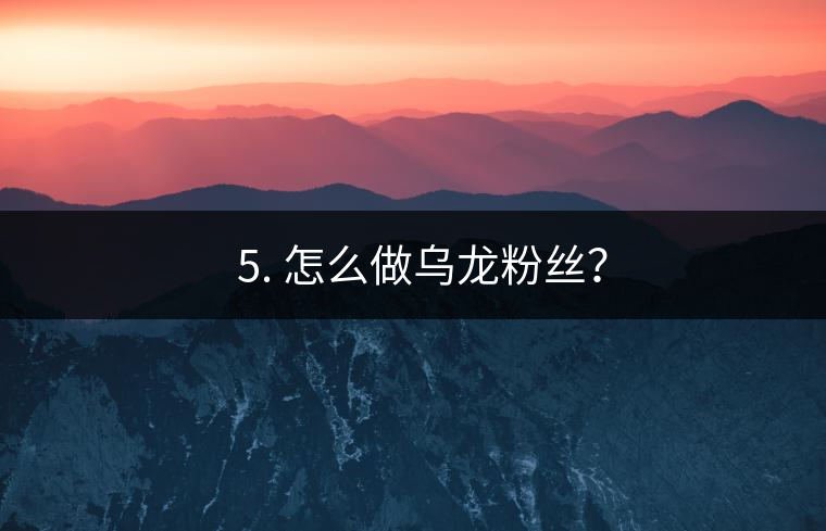 ? 5. 怎么做烏龍粉絲？