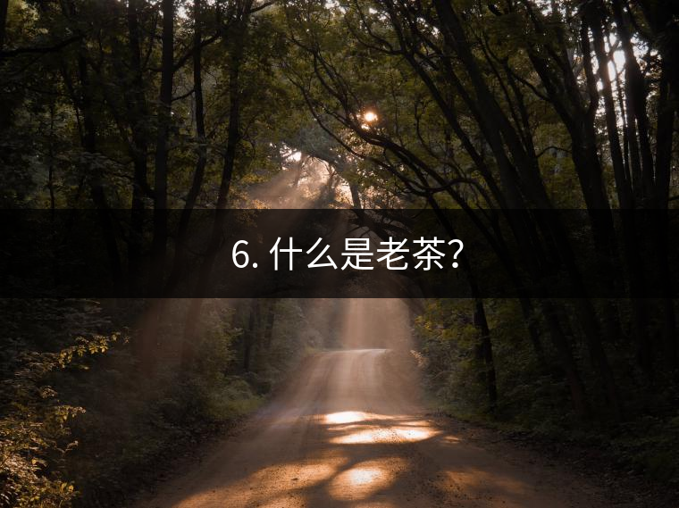 ? 6. 什么是老茶？