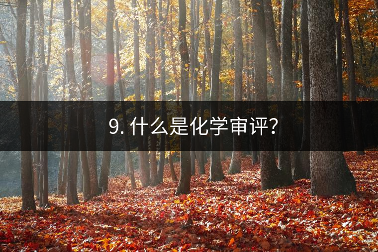 ? 9. 什么是化學(xué)審評？
