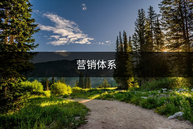 營(yíng)銷(xiāo)體系