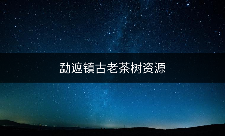 勐遮鎮(zhèn)古老茶樹資源