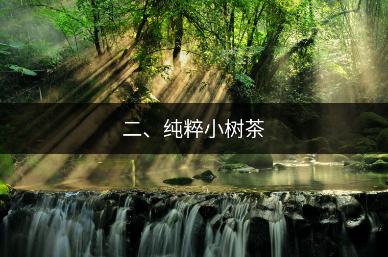 二、純粹小樹茶