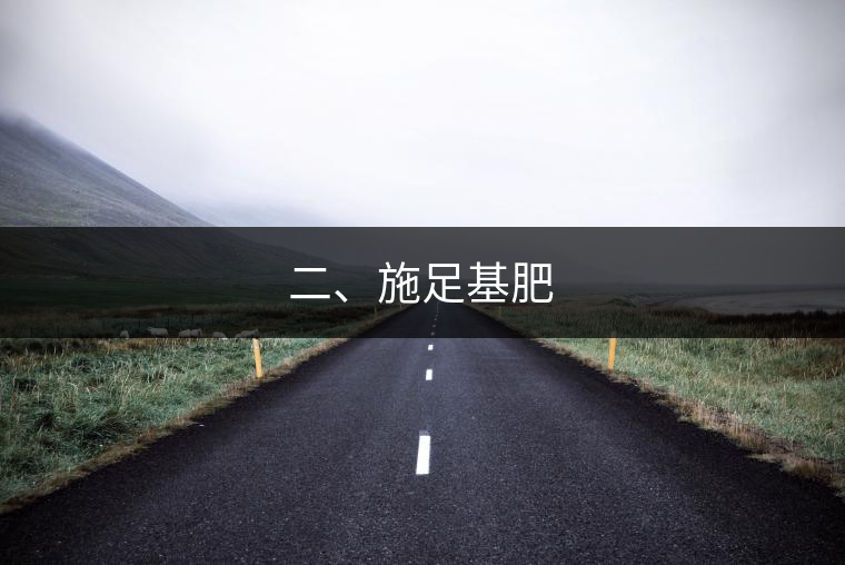 二、施足基肥