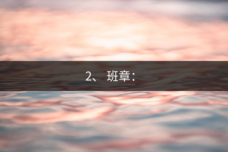 2、 班章：?