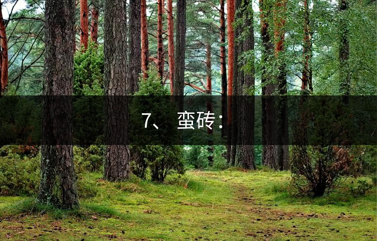 7、 蠻磚：?