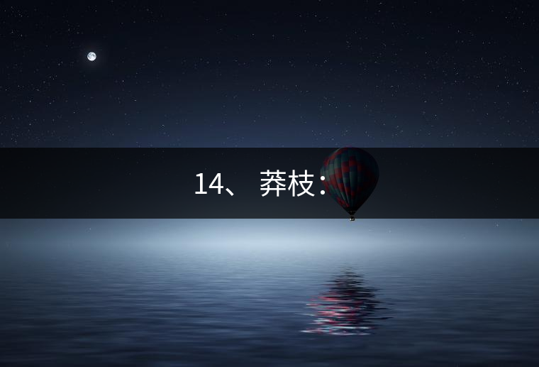 14、 莽枝：?
