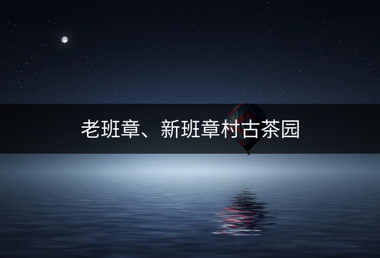 老班章、新班章村古茶園