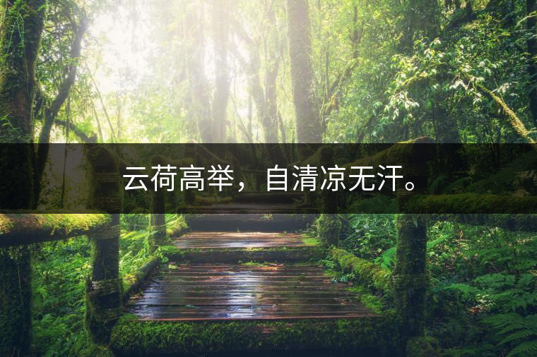 云荷高舉，自清涼無汗。
