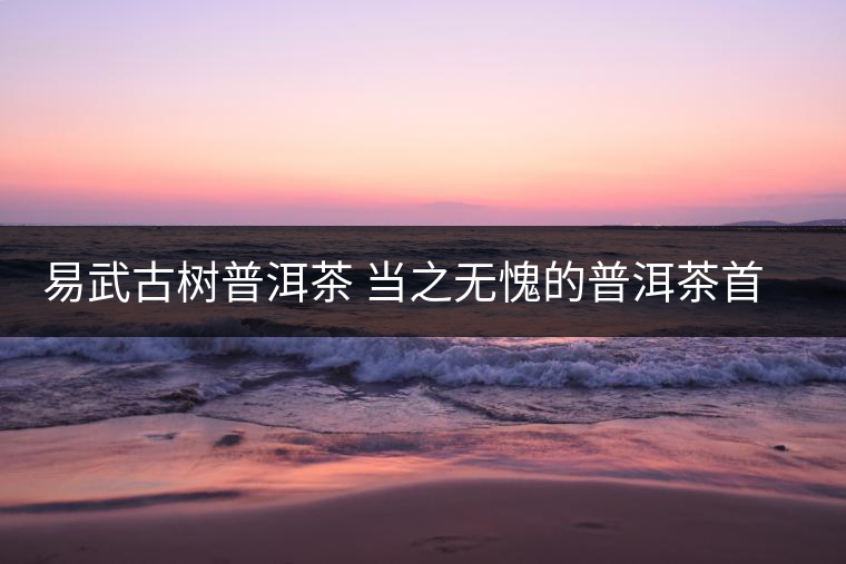 易武古樹(shù)普洱茶 當(dāng)之無(wú)愧的普洱茶首選