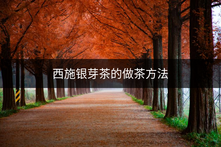 西施銀芽茶的做茶方法