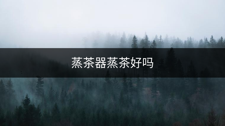 蒸茶器蒸茶好嗎