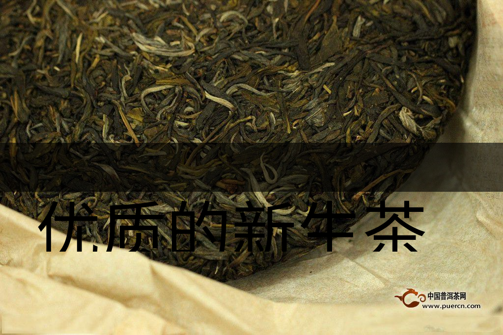 優(yōu)質(zhì)的新生茶是什么樣的？