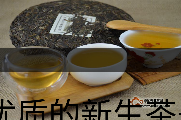 優(yōu)質(zhì)的新生茶是什么樣的？-1