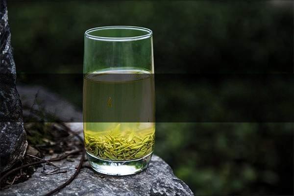 pick春茶攻略！