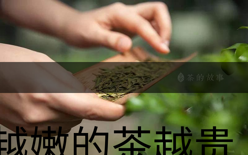 越嫩的茶越貴，但越貴的茶就越好嗎？