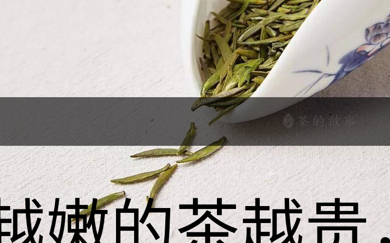 越嫩的茶越貴，但越貴的茶就越好嗎？-1