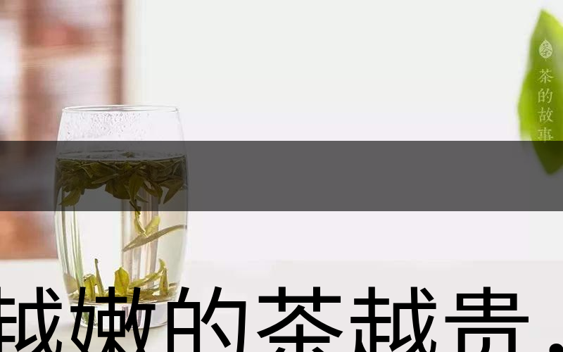 越嫩的茶越貴，但越貴的茶就越好嗎？-2