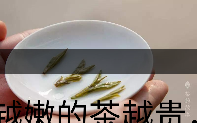 越嫩的茶越貴，但越貴的茶就越好嗎？-3