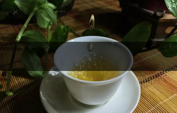 根據(jù)葉底鑒別茶葉的好壞-2 根據(jù)葉底鑒別茶葉的好壞-2