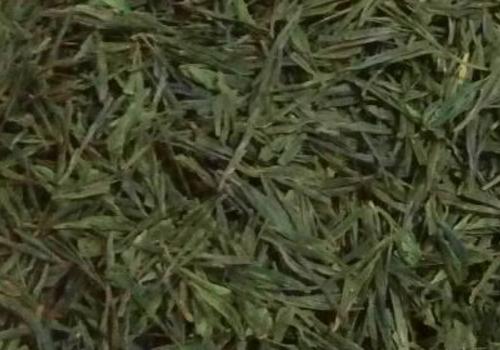 什么是海青茶？沖泡手法詳細教學！