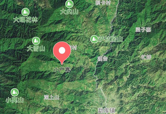 2021年小戶賽古樹秋茶有什么特點？