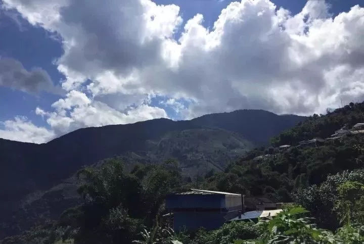 2021年小戶賽古樹秋茶品鑒報告