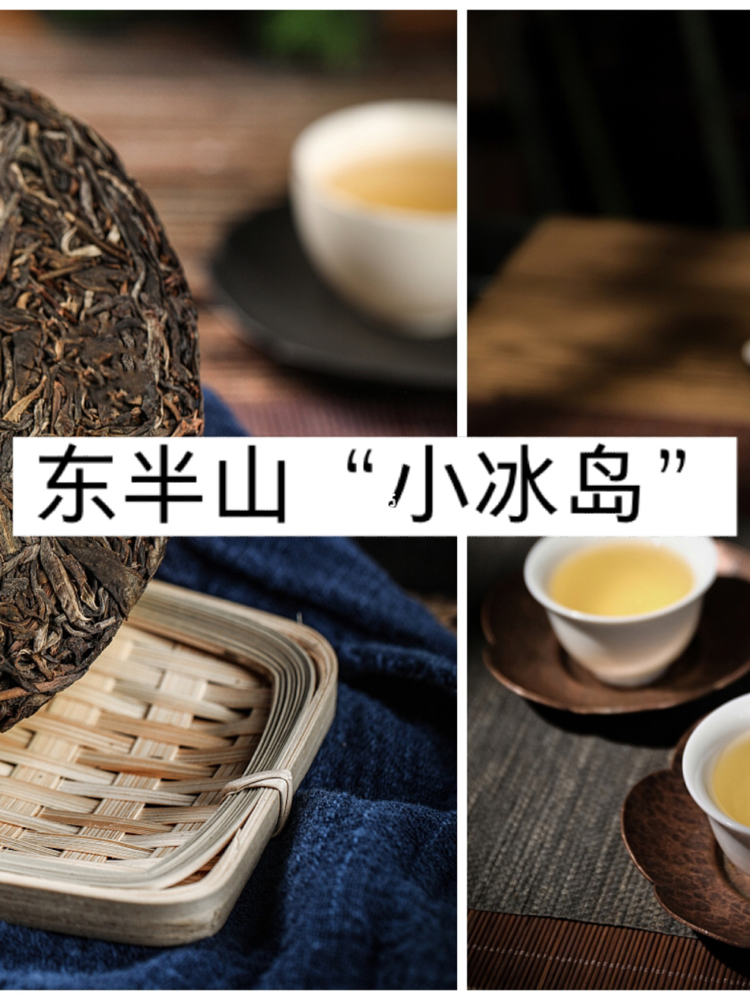 2021年正氣塘古樹秋茶品鑒!