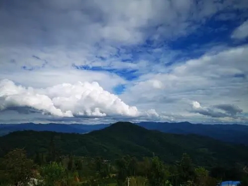 2021年那罕古樹(shù)秋茶口感？