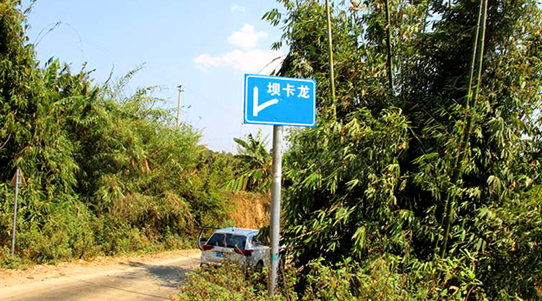 2021班章茶區(qū)壩卡竜古樹(shù)秋茶特點(diǎn)！