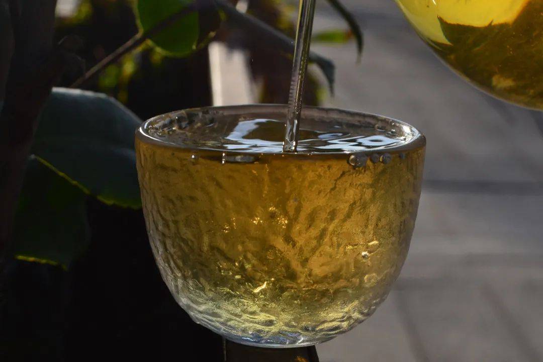 2021班章茶區(qū)壩卡竜古樹秋茶口感是什么？