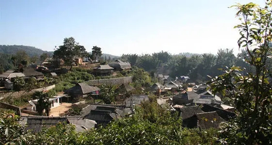 2021年班章茶區(qū)壩卡竜古樹秋茶多少錢一公斤？