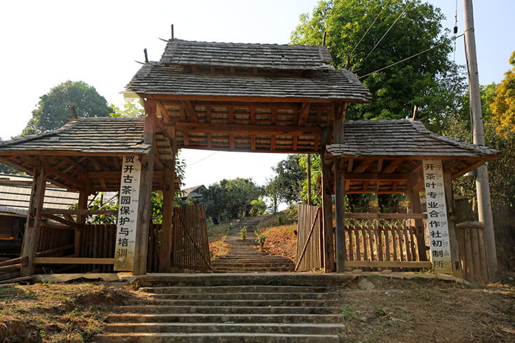 2021年賀開古樹秋茶特點？