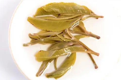 2021年南糯山拔瑪老寨古樹(shù)秋茶多少錢一公斤？