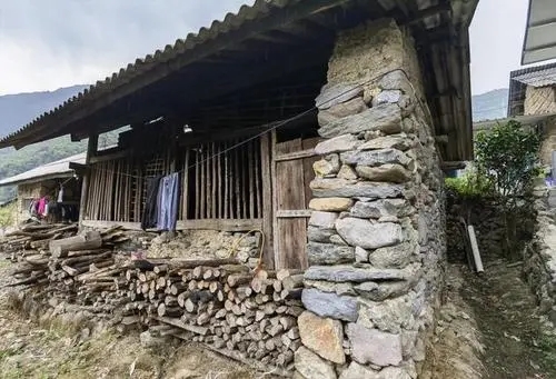 2022年景谷黃草壩古樹春茶特點是什么？