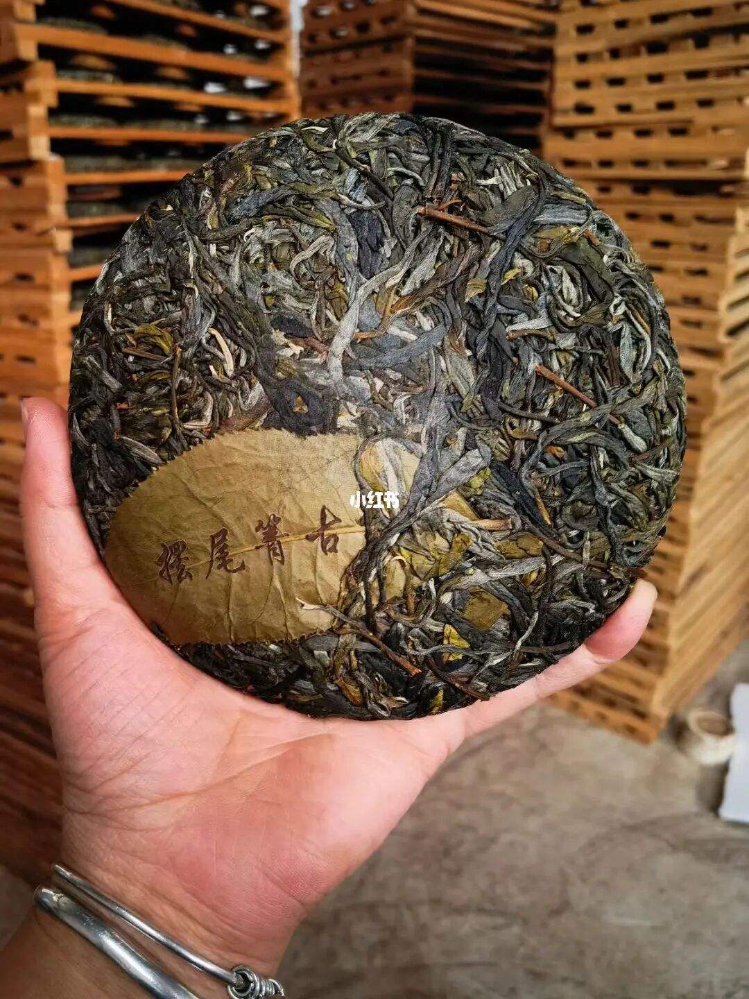 2022年寧洱 擺尾箐古樹春茶價格？