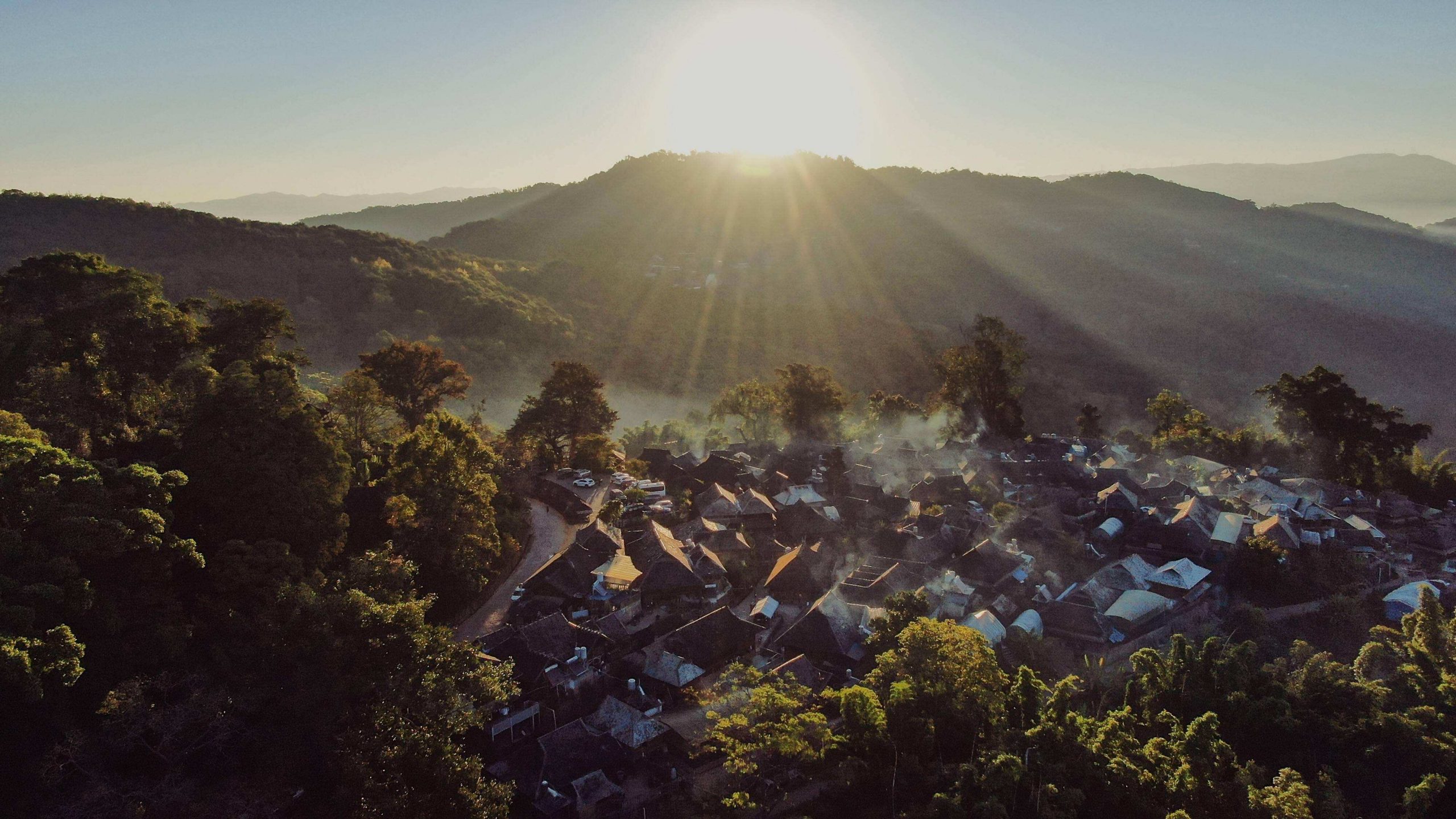 2022年景邁山古樹(shù)春茶特點(diǎn)？