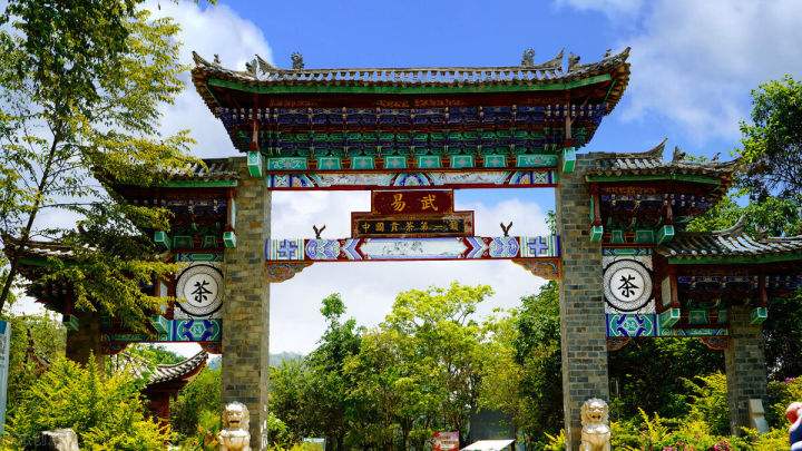 2022年易武正山在哪？易武正山是什么意思？