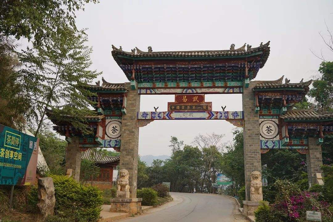 2022年易武正山古樹春茶特點？