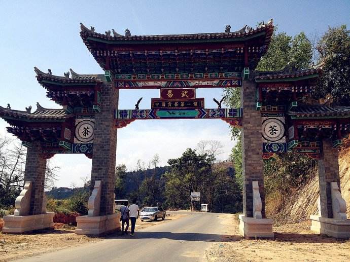 2022年易武正山古樹春茶價格？