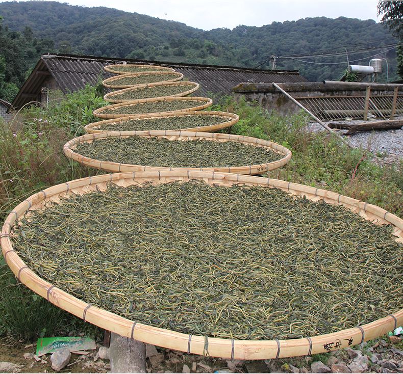 2022年白沙河古樹春茶價(jià)格？