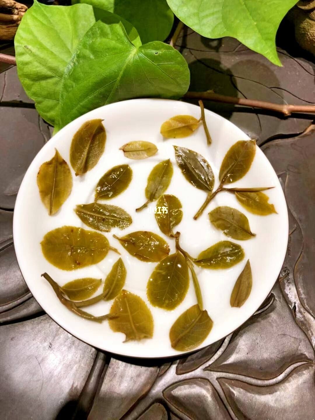 2022年倚邦貓耳朵古樹春茶多少錢一公斤？