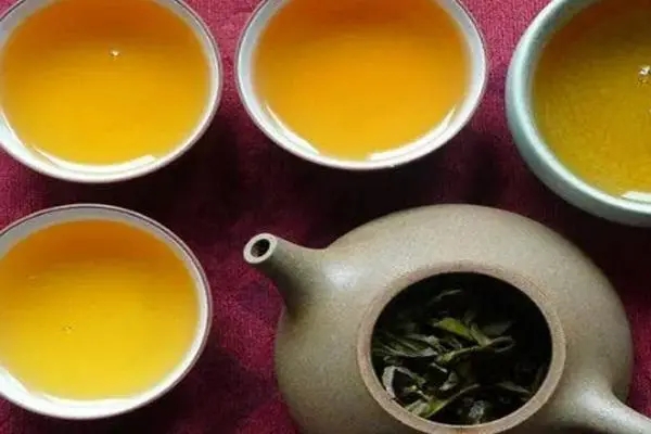 2022年普洱茶怎么泡法才正確？