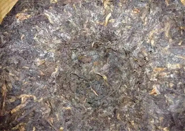 2022年普洱茶受潮發(fā)霉了怎么辦？